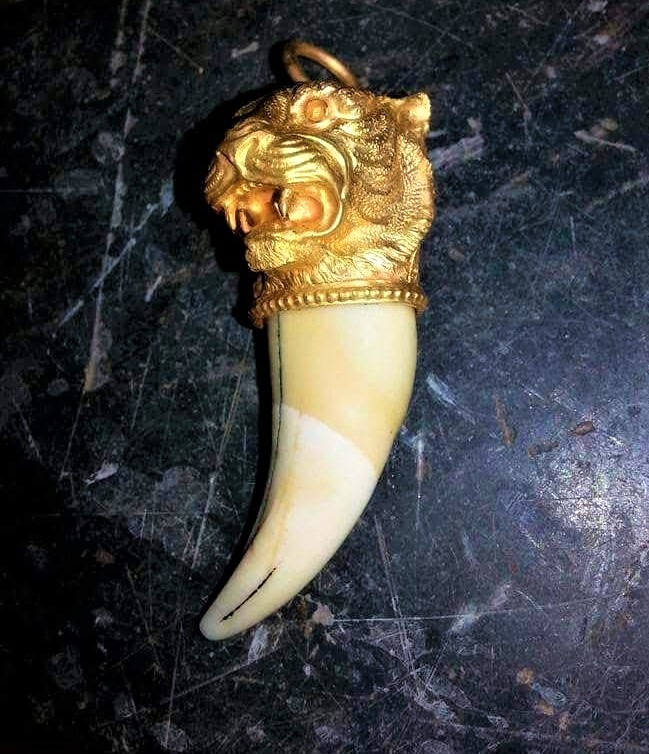 Beautiful Gold Line Tigers Nail Pendant - South India Jewels